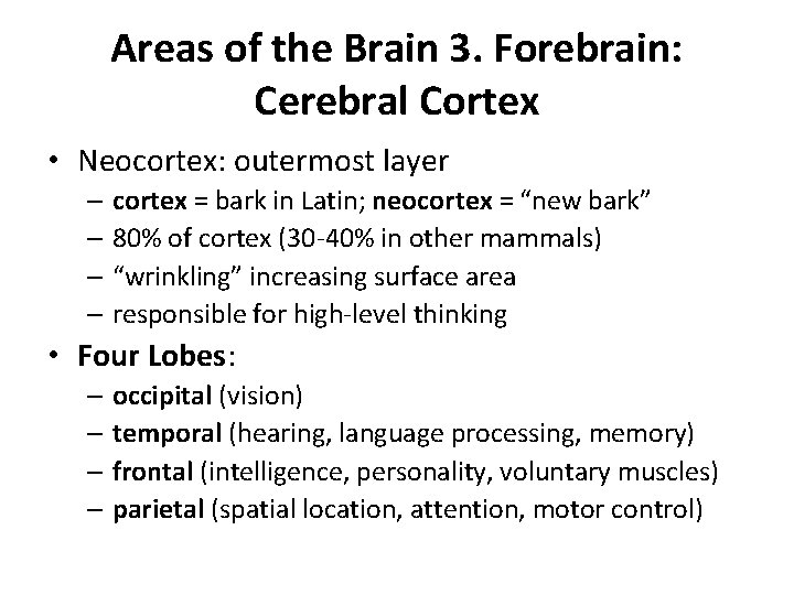 Areas of the Brain 3. Forebrain: Cerebral Cortex • Neocortex: outermost layer – cortex