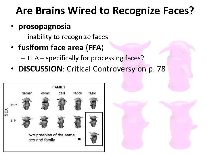 Are Brains Wired to Recognize Faces? • prosopagnosia – inability to recognize faces •