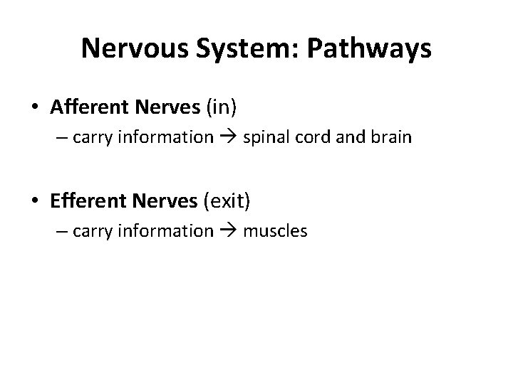 Nervous System: Pathways • Afferent Nerves (in) – carry information spinal cord and brain
