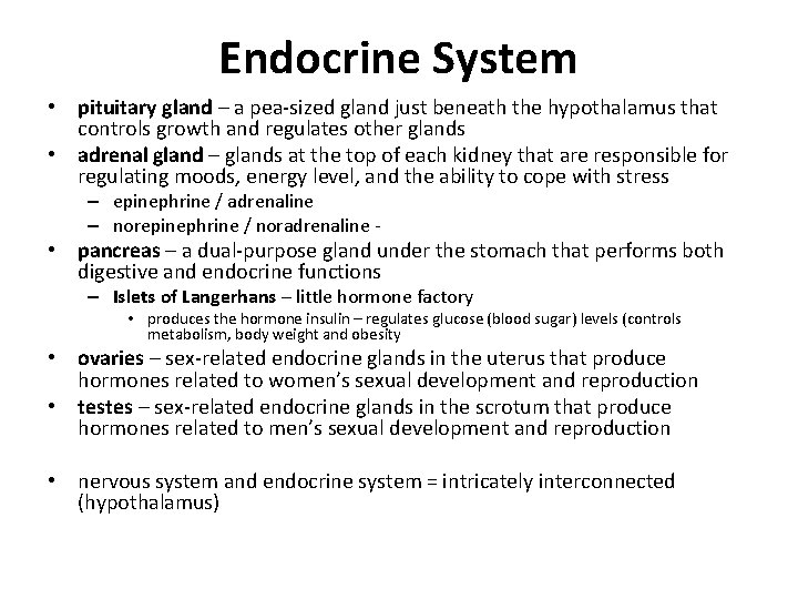 Endocrine System • pituitary gland – a pea-sized gland just beneath the hypothalamus that