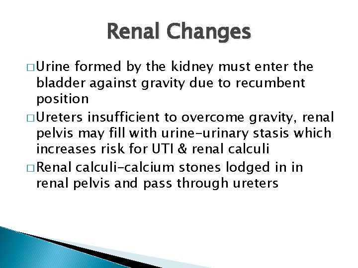 Renal Changes � Urine formed by the kidney must enter the bladder against gravity