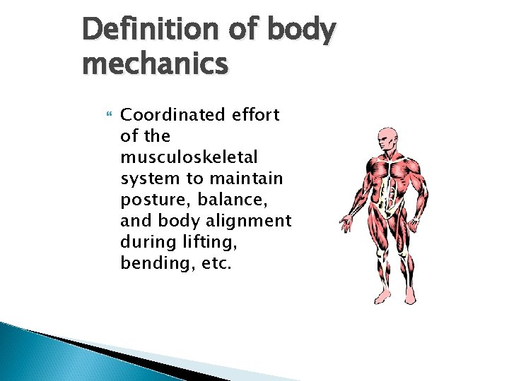 Definition of body mechanics Coordinated effort of the musculoskeletal system to maintain posture, balance,