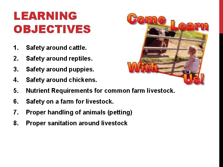 LEARNING OBJECTIVES 1. Safety around cattle. 2. Safety around reptiles. 3. Safety around puppies.