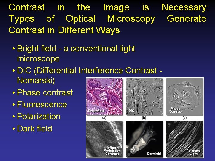 Contrast in the Image is Necessary: Types of Optical Microscopy Generate Contrast in Different