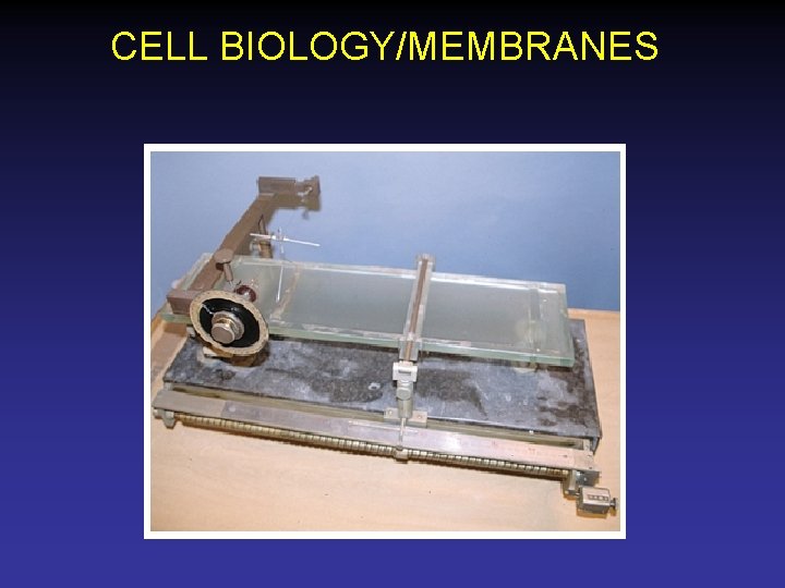 CELL BIOLOGY/MEMBRANES 