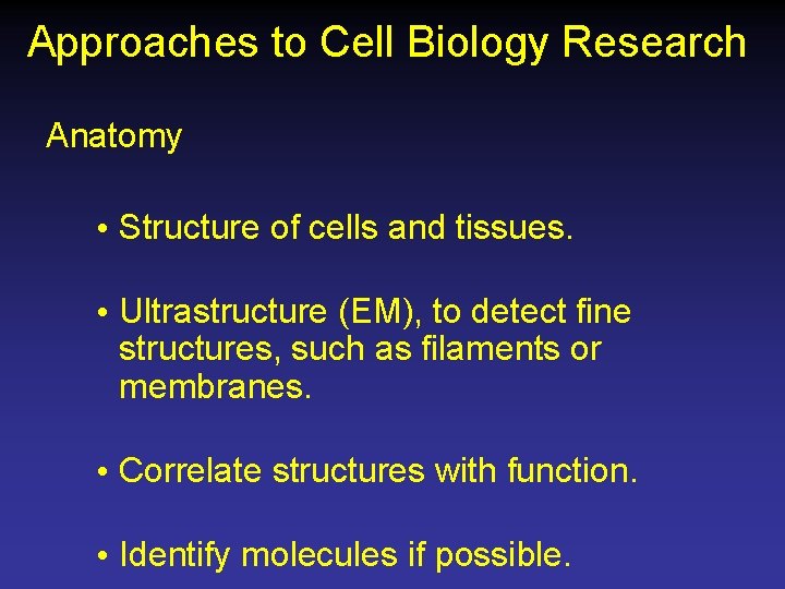 Approaches to Cell Biology Research Anatomy • Structure of cells and tissues. • Ultrastructure