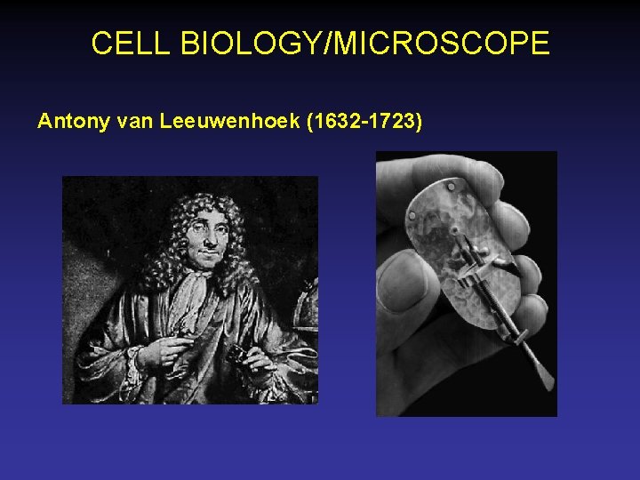 CELL BIOLOGY/MICROSCOPE Antony van Leeuwenhoek (1632 -1723) 