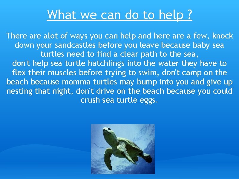 What we can do to help ? There alot of ways you can help