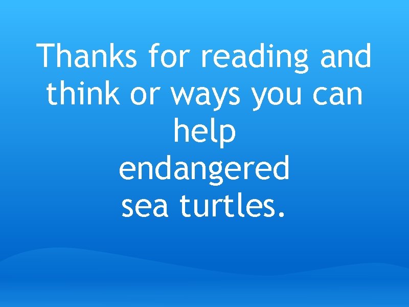 Thanks for reading and think or ways you can help endangered sea turtles. 