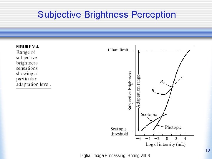 Subjective Brightness Perception 10 Digtial Image Processing, Spring 2006 