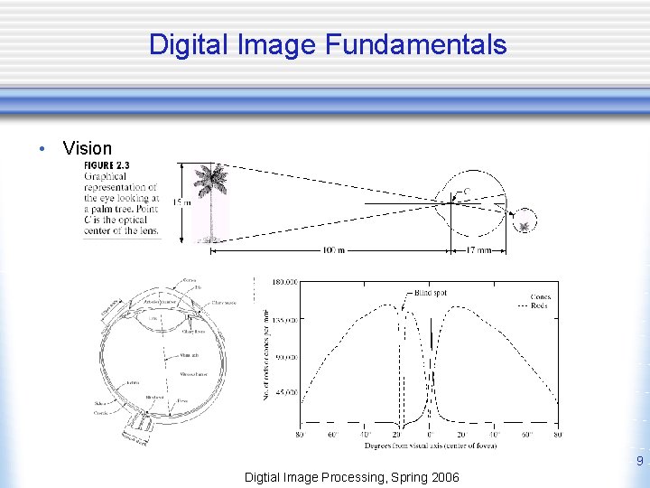 Digital Image Fundamentals • Vision 9 Digtial Image Processing, Spring 2006 