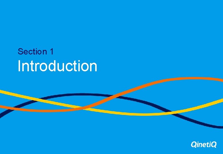 Section 1 Introduction 