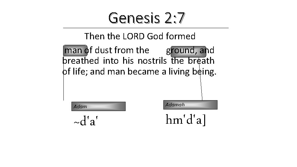 Genesis 2: 7 Then the LORD God formed man of dust from the ground, Genesis 2: 7 Then the LORD God formed man of dust from the ground,