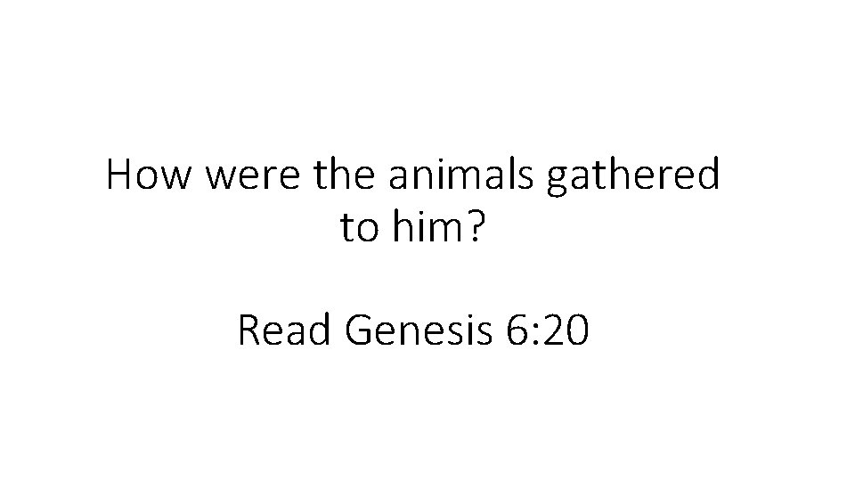 How were the animals gathered to him? Read Genesis 6: 20 How were the animals gathered to him? Read Genesis 6: 20