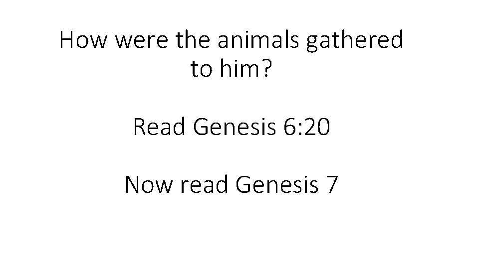 How were the animals gathered to him? Read Genesis 6: 20 Now read Genesis How were the animals gathered to him? Read Genesis 6: 20 Now read Genesis