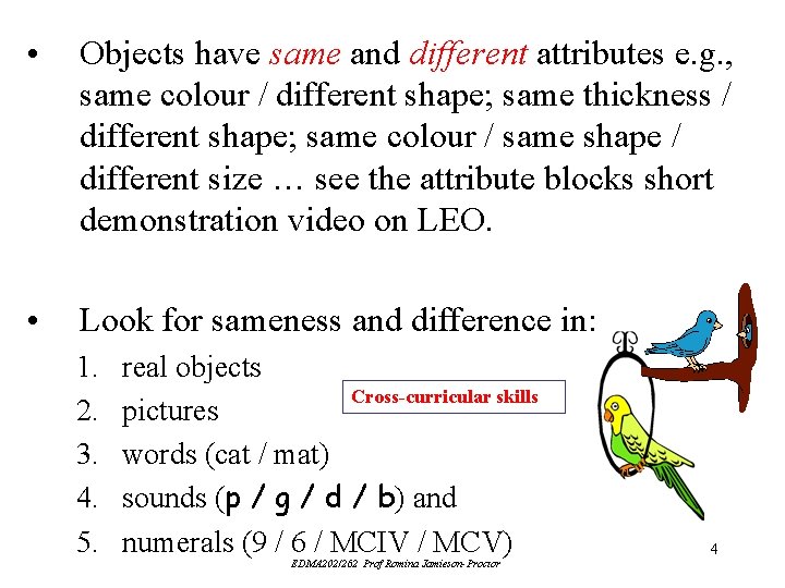 • Objects have same and different attributes e. g. , same colour / • Objects have same and different attributes e. g. , same colour /
