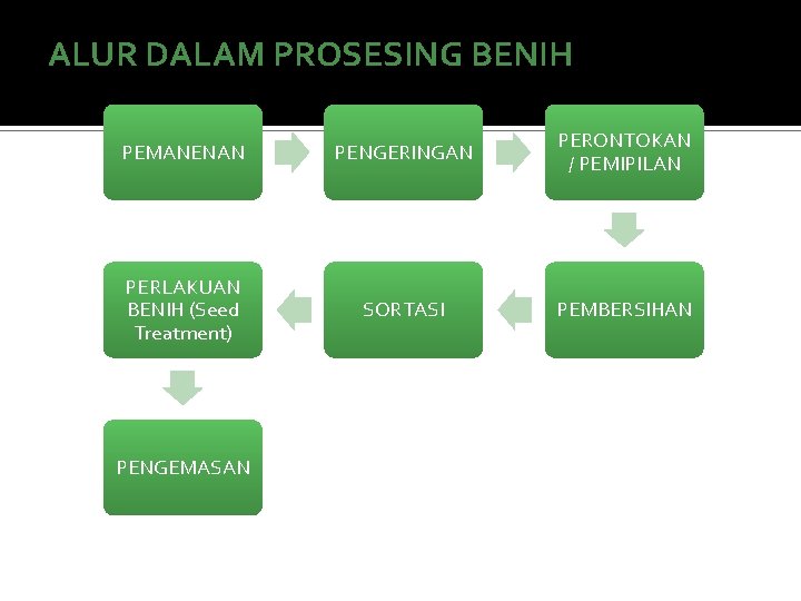 ALUR DALAM PROSESING BENIH PEMANENAN PENGERINGAN PERONTOKAN / PEMIPILAN PERLAKUAN BENIH (Seed Treatment) SORTASI