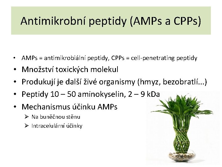 Antimikrobní peptidy (AMPs a CPPs) • AMPs = antimikrobiální peptidy, CPPs = cell-penetrating peptidy