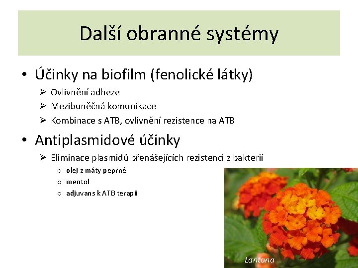 Další obranné systémy • Účinky na biofilm (fenolické látky) Ø Ovlivnění adheze Ø Mezibuněčná