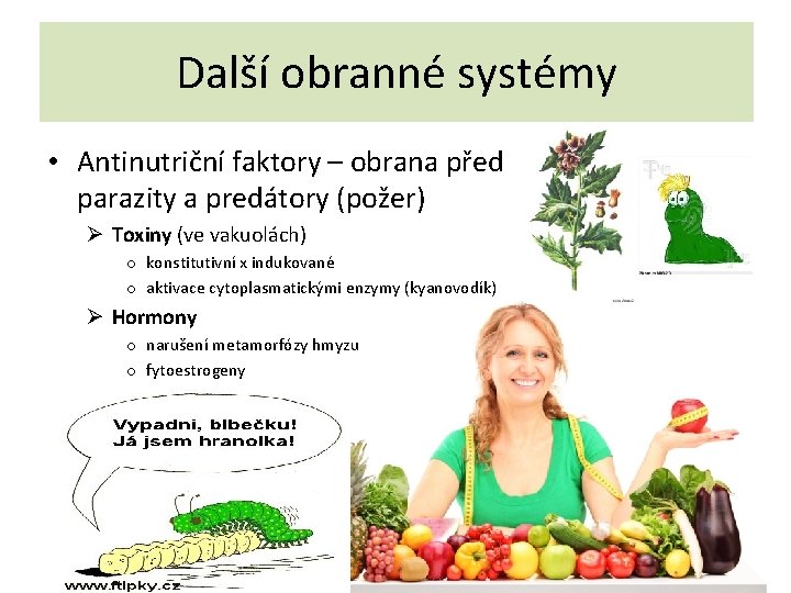 Další obranné systémy • Antinutriční faktory – obrana před parazity a predátory (požer) Ø