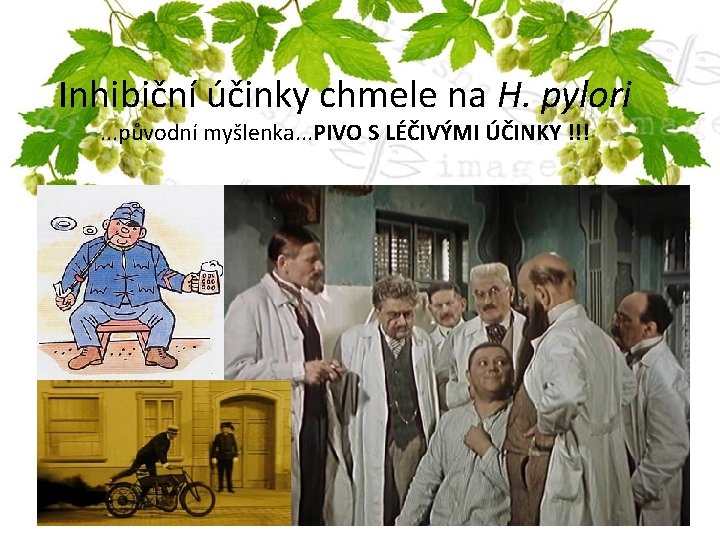 Inhibiční účinky chmele na H. pylori. . . původní myšlenka. . . PIVO S