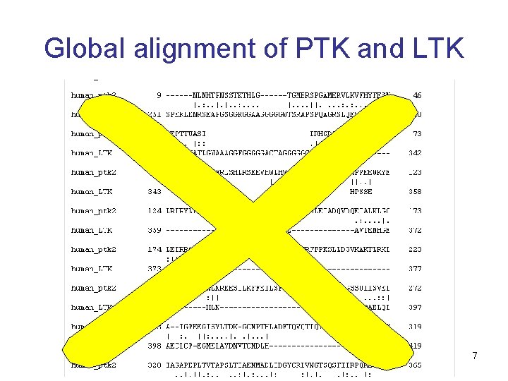 Global alignment of PTK and LTK 17 