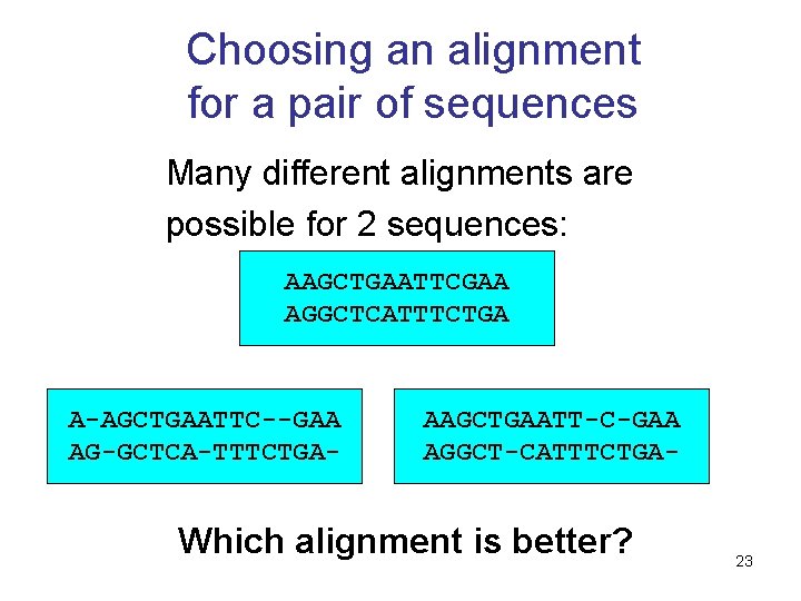 Choosing an alignment for a pair of sequences Many different alignments are possible for