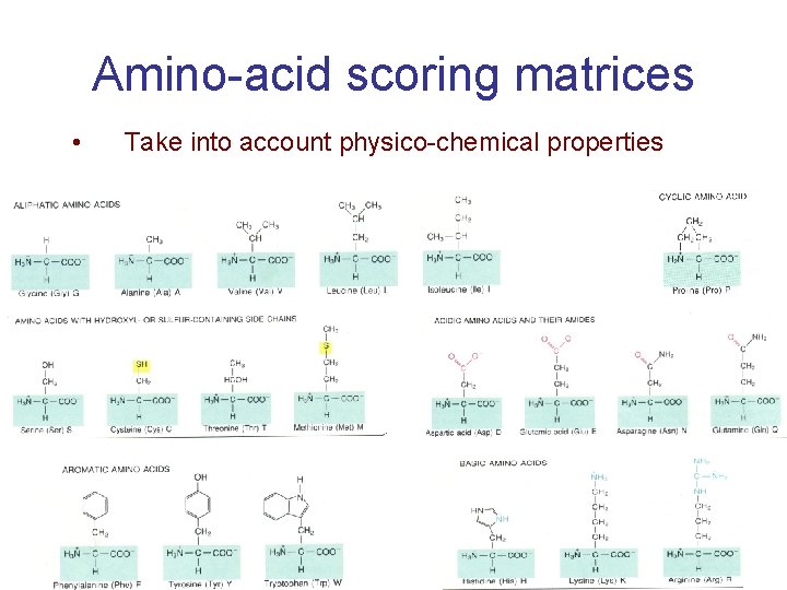 Amino-acid scoring matrices • Take into account physico-chemical properties 28 