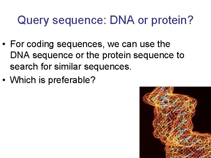 Query sequence: DNA or protein? • For coding sequences, we can use the DNA
