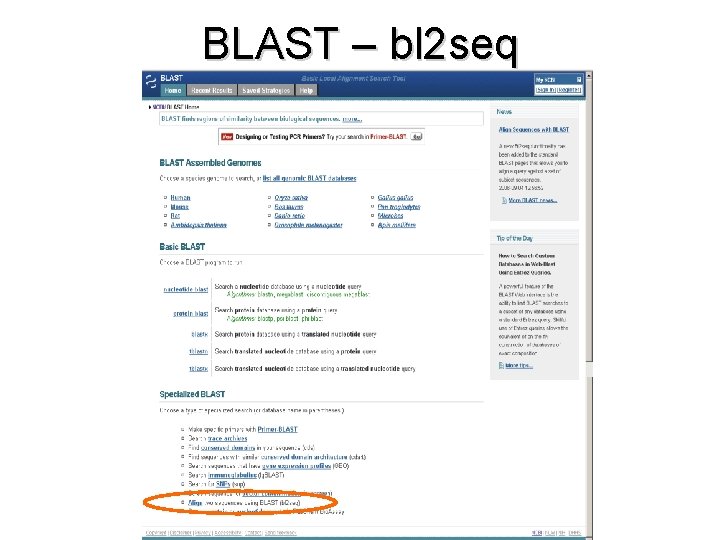 BLAST – bl 2 seq 