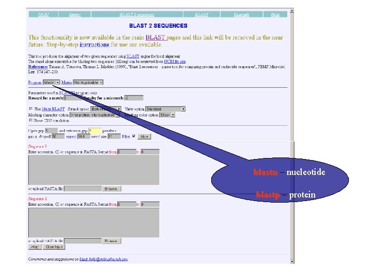 Bl 2 Seq - query blastn – nucleotide blastp – protein 