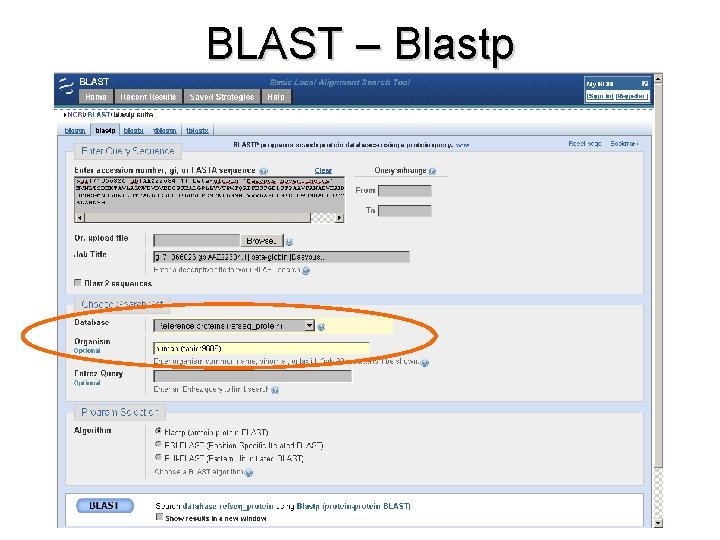 BLAST – Blastp 