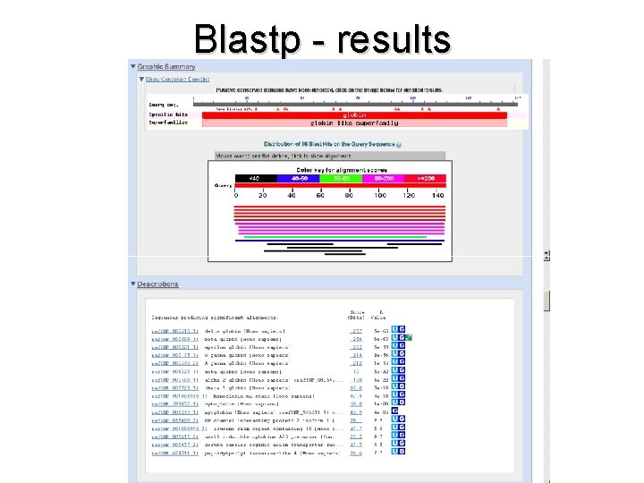 Blastp - results 