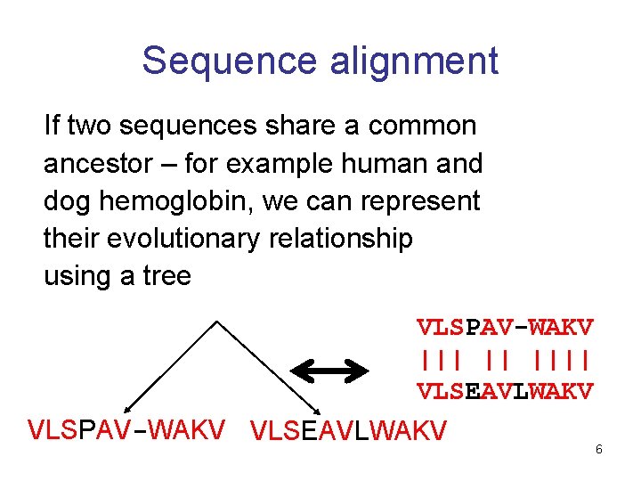 Sequence alignment If two sequences share a common ancestor – for example human and