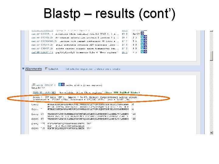 Blastp – results (cont’) 
