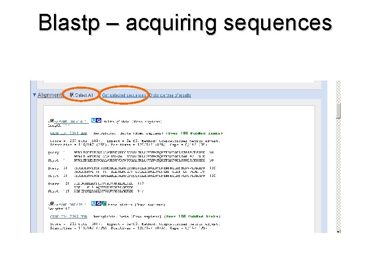 Blastp – acquiring sequences 