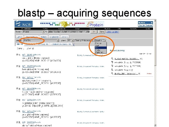 blastp – acquiring sequences 