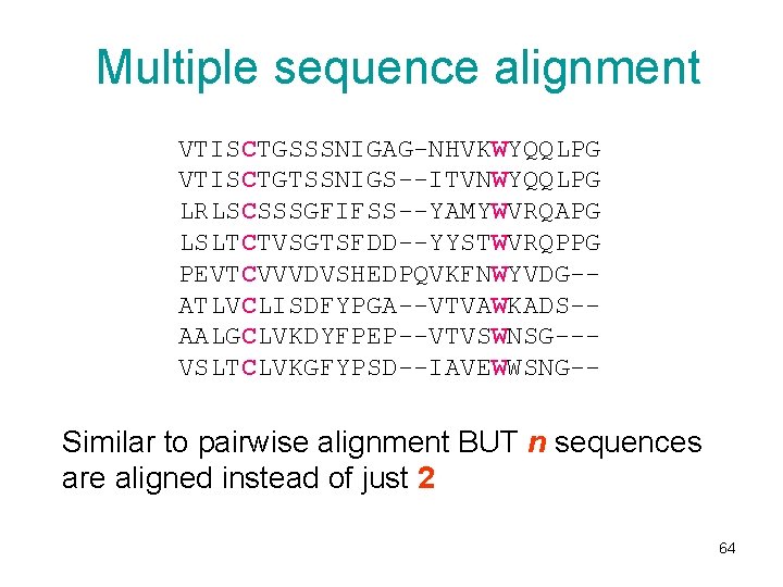 Multiple sequence alignment VTISCTGSSSNIGAG-NHVKWYQQLPG VTISCTGTSSNIGS--ITVNWYQQLPG LRLSCSSSGFIFSS--YAMYWVRQAPG LSLTCTVSGTSFDD--YYSTWVRQPPG PEVTCVVVDVSHEDPQVKFNWYVDG-ATLVCLISDFYPGA--VTVAWKADS-AALGCLVKDYFPEP--VTVSWNSG--VSLTCLVKGFYPSD--IAVEWWSNG-- Similar to pairwise alignment BUT n