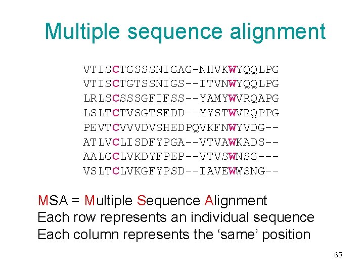 Multiple sequence alignment VTISCTGSSSNIGAG-NHVKWYQQLPG VTISCTGTSSNIGS--ITVNWYQQLPG LRLSCSSSGFIFSS--YAMYWVRQAPG LSLTCTVSGTSFDD--YYSTWVRQPPG PEVTCVVVDVSHEDPQVKFNWYVDG-ATLVCLISDFYPGA--VTVAWKADS-AALGCLVKDYFPEP--VTVSWNSG--VSLTCLVKGFYPSD--IAVEWWSNG-- MSA = Multiple Sequence Alignment Each