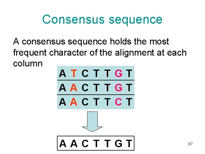 Consensus sequence A consensus sequence holds the most frequent character of the alignment at