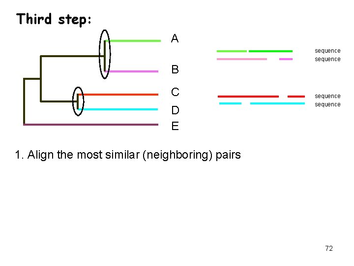 Third step: A sequence B C D E sequence 1. Align the most similar