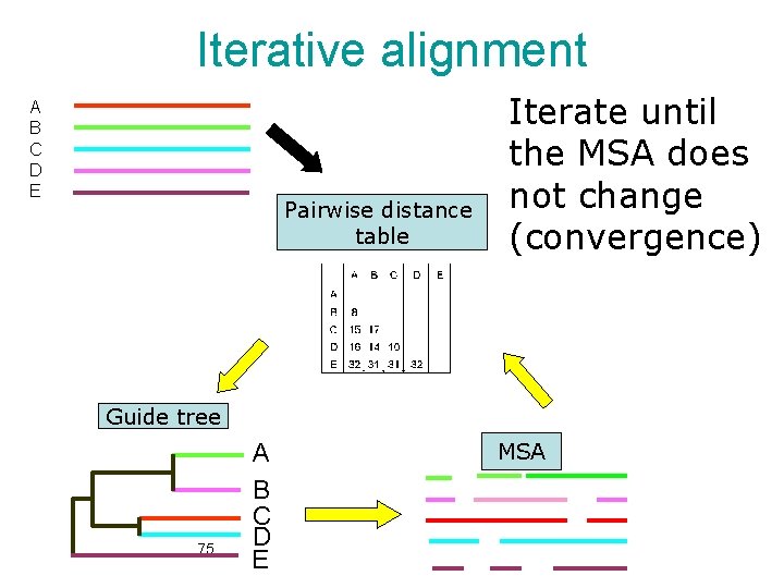 Iterative alignment A B C D E Pairwise distance table Iterate until the MSA