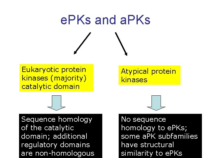 e. PKs and a. PKs Eukaryotic protein kinases (majority) catalytic domain Atypical protein kinases