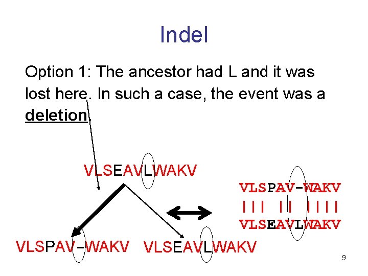 Indel Option 1: The ancestor had L and it was lost here. In such