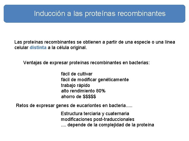 Inducción a las proteínas recombinantes Las proteínas recombinantes se obtienen a partir de una