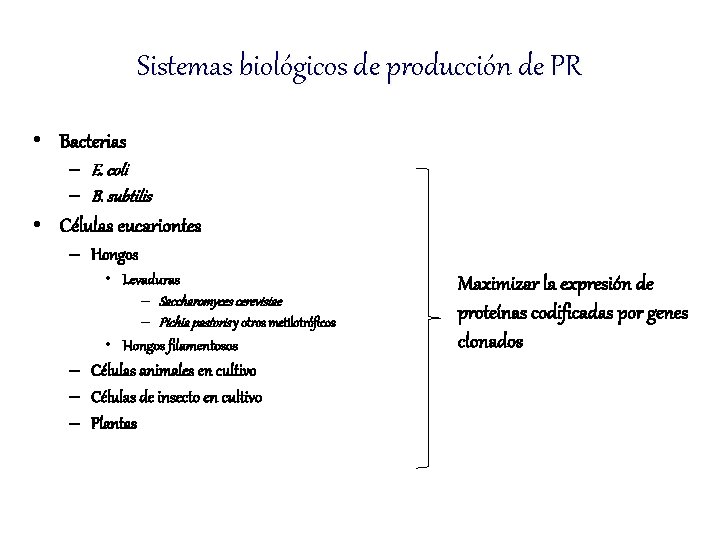 Sistemas biológicos de producción de PR • Bacterias – E. coli – B. subtilis