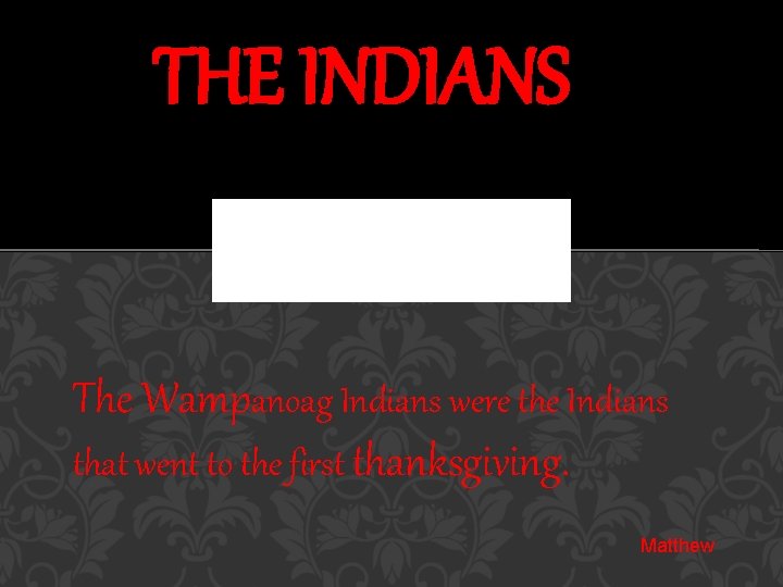 THE INDIANS The Wampanoag Indians were the Indians that went to the first thanksgiving.