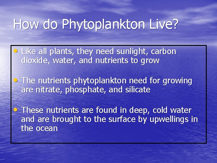 Phytoplankton Bloom What is Phytoplankton Phytoplankton are microscopic