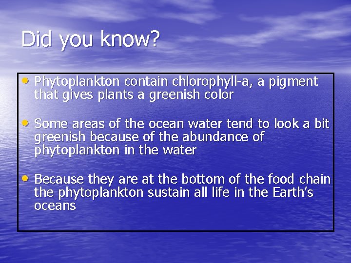Phytoplankton Bloom What is Phytoplankton Phytoplankton are microscopic