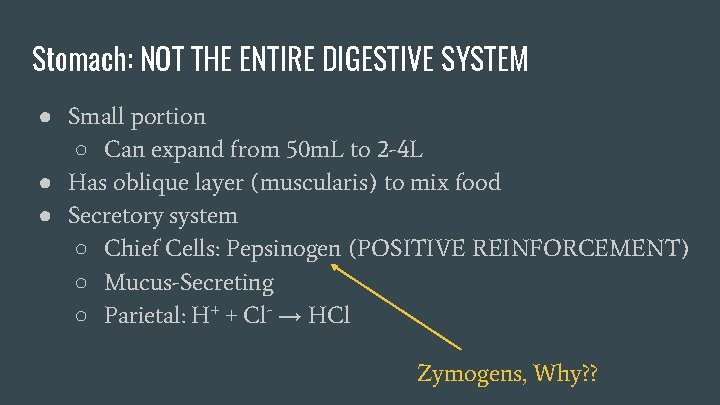 Stomach: NOT THE ENTIRE DIGESTIVE SYSTEM ● Small portion ○ Can expand from 50